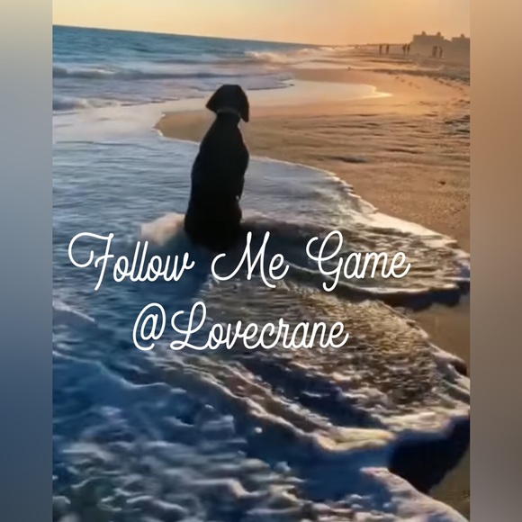 FOLLOW ME GAME #1 - Picture 1 of 1